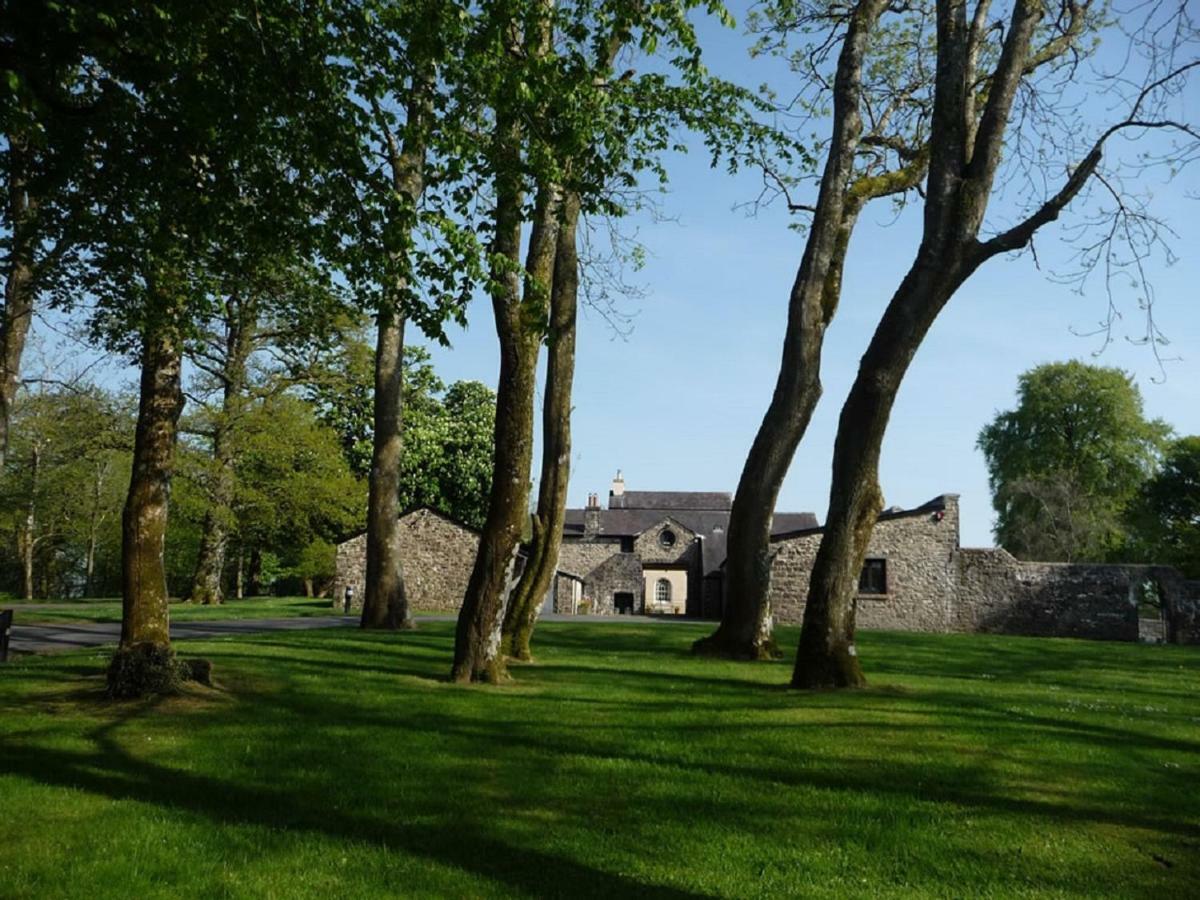 Llwynhelig Manor Bed & Breakfast Llandeilo Exterior foto